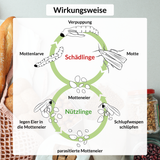 Trichobest® gegen Lebensmittelmotten Komplettbehandlung (3 Lieferungen)