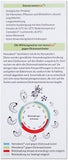 nemabest® cool HB+SF Nematoden gegen Dickmaulrüsslers